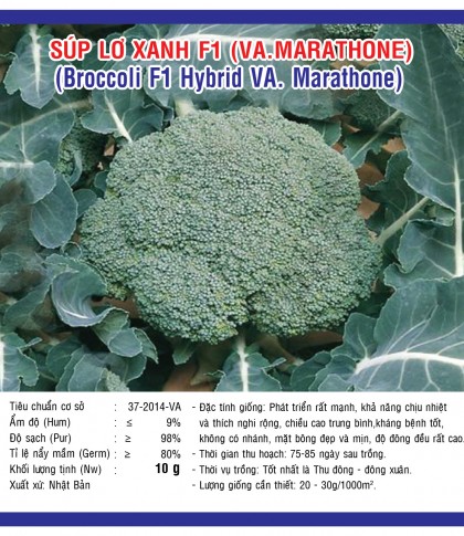 Rau súp lơ xanh - Việt á Seeds - Công Ty TNHH Phát Triển Nông Nghiệp Việt Á